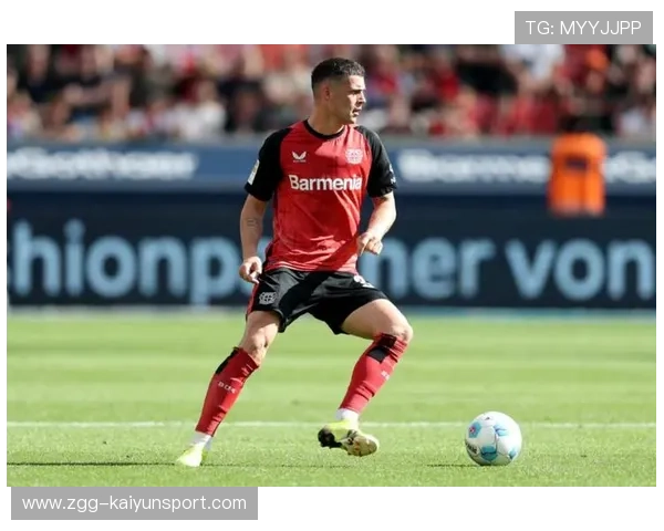 米兰推进后防引援,德拉古辛进入候选,德拉古米尔·米希克 米兰推进后防引援,德拉古辛进入候选,德拉古米尔·米希克